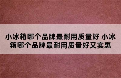 小冰箱哪个品牌最耐用质量好 小冰箱哪个品牌最耐用质量好又实惠